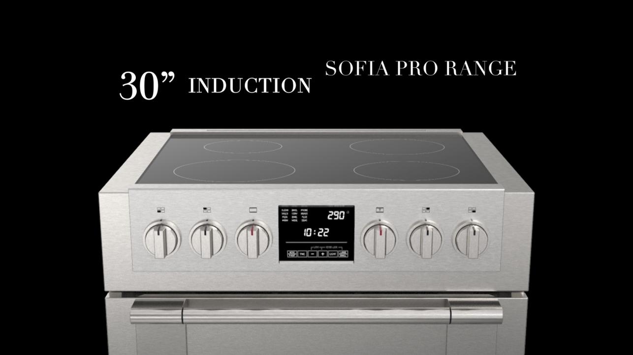 Video Sofia 30 Induction